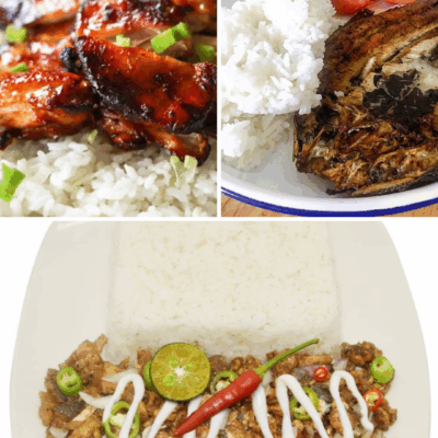 Regular meal (Pork, Chicken or Fish)