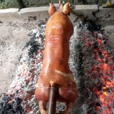 Lechon Baboy (45-50kg)